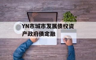 YN市城市发展债权资产政府债定融