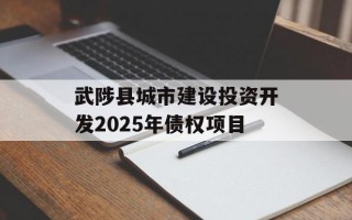 武陟县城市建设投资开发2025年债权项目