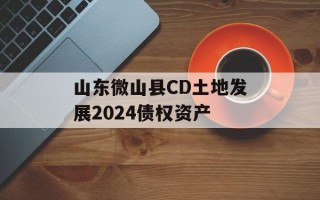 山东微山县CD土地发展2024债权资产