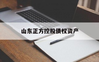 山东正方控股债权资产
