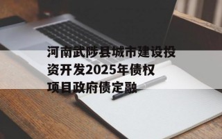 河南武陟县城市建设投资开发2025年债权项目政府债定融