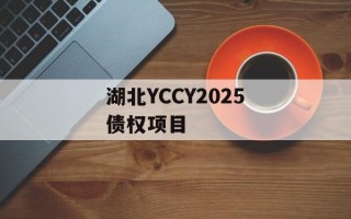 湖北YCCY2025债权项目