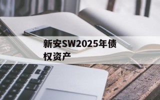 新安SW2025年债权资产
