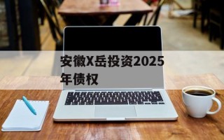 安徽X岳投资2025年债权