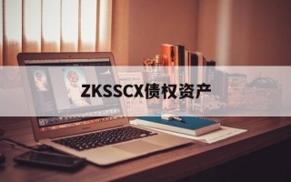 ZKSSCX债权资产