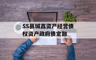 SS县城鑫资产经营债权资产政府债定融