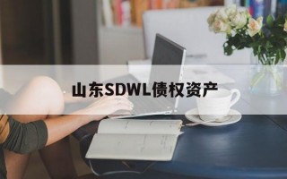 山东SDWL债权资产