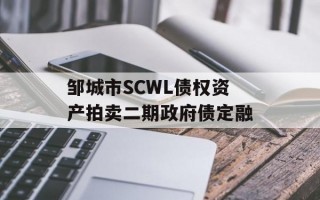 邹城市SCWL债权资产拍卖二期政府债定融