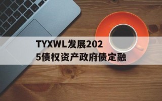 TYXWL发展2025债权资产政府债定融