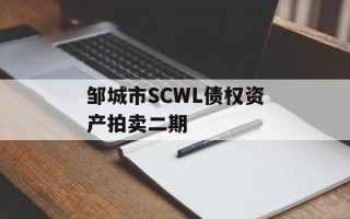 邹城市SCWL债权资产拍卖二期