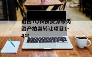山西YQ农投资源服务资产拍卖转让项目1-4号