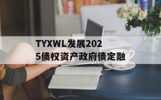 TYXWL发展2025债权资产政府债定融
