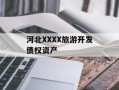 河北XXXX旅游开发债权资产