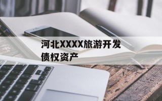 河北XXXX旅游开发债权资产