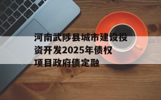 河南武陟县城市建设投资开发2025年债权项目政府债定融