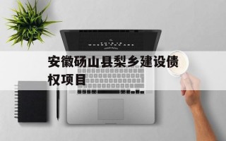 安徽砀山县梨乡建设债权项目