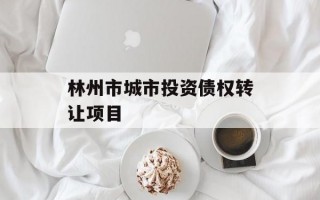 林州市城市投资债权转让项目