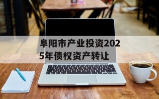 阜阳市产业投资2025年债权资产转让
