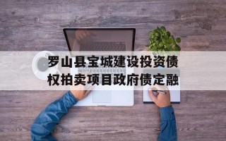 罗山县宝城建设投资债权拍卖项目政府债定融