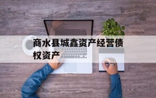 商水县城鑫资产经营债权资产
