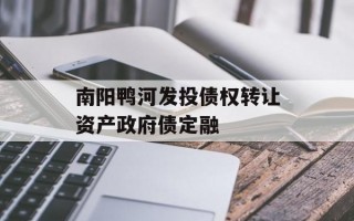 南阳鸭河发投债权转让资产政府债定融