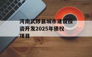 河南武陟县城市建设投资开发2025年债权项目
