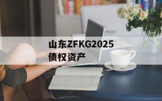山东ZFKG2025债权资产