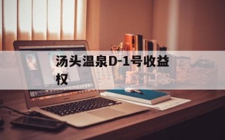 汤头温泉D-1号收益权