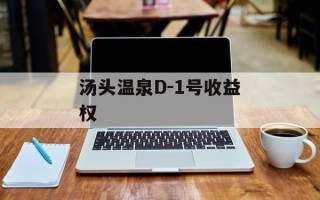 汤头温泉D-1号收益权