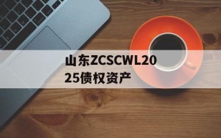 山东ZCSCWL2025债权资产