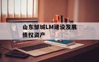 山东邹城LM建设发展债权资产