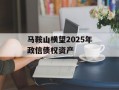 马鞍山横望2025年政信债权资产
