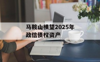 马鞍山横望2025年政信债权资产