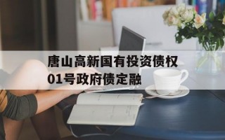 唐山高新国有投资债权01号政府债定融