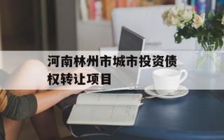 河南林州市城市投资债权转让项目