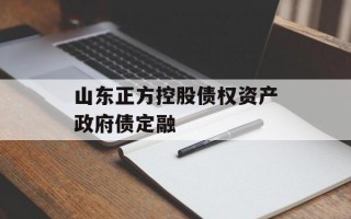 山东正方控股债权资产政府债定融