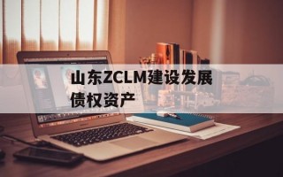 山东ZCLM建设发展债权资产