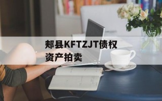 郏县KFTZJT债权资产拍卖