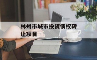 林州市城市投资债权转让项目