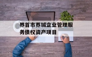 界首市养城企业管理服务债权资产项目