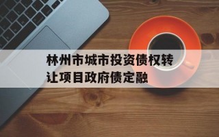 林州市城市投资债权转让项目政府债定融
