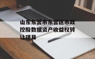 山东东营市东营区市政控股数据资产收益权转让项目