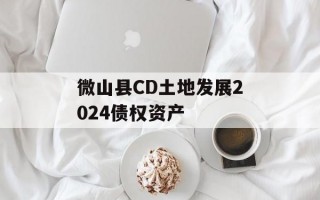 微山县CD土地发展2024债权资产