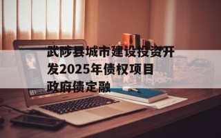 武陟县城市建设投资开发2025年债权项目政府债定融