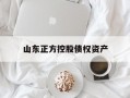山东正方控股债权资产