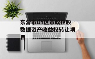 东营市DY区市政控股数据资产收益权转让项目