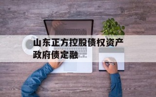 山东正方控股债权资产政府债定融