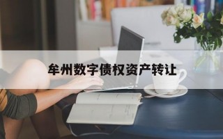 牟州数字债权资产转让