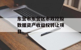 东营市东营区市政控股数据资产收益权转让项目