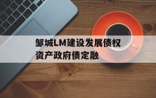 邹城LM建设发展债权资产政府债定融